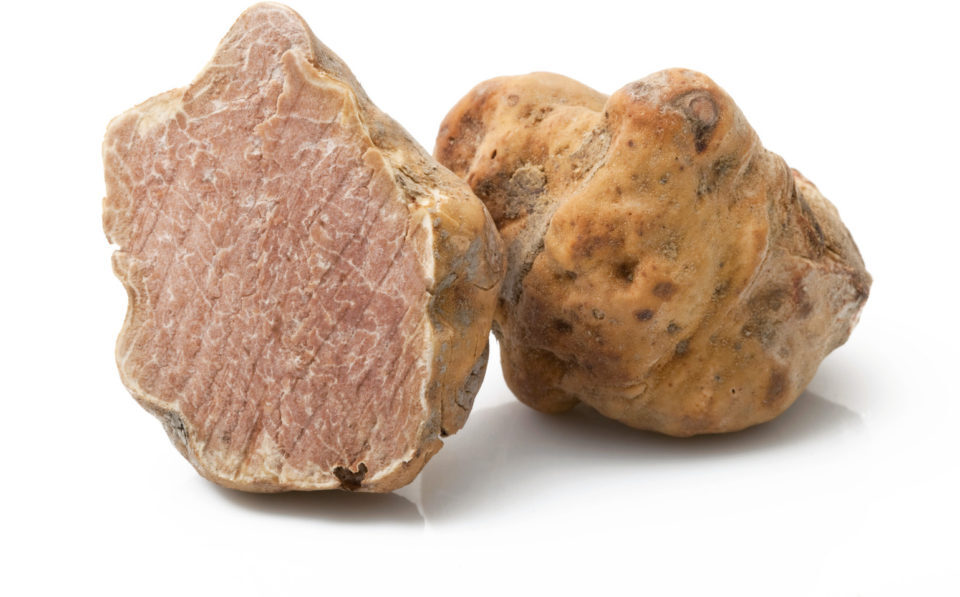 5 ricette con olio extravergine al Tartufo Bianco il Bottaccio