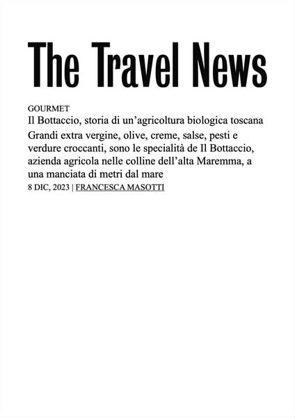 The Travel News