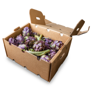Box Carciofi Toscani