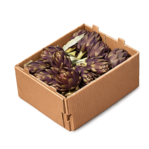 Box Carciofi Toscani