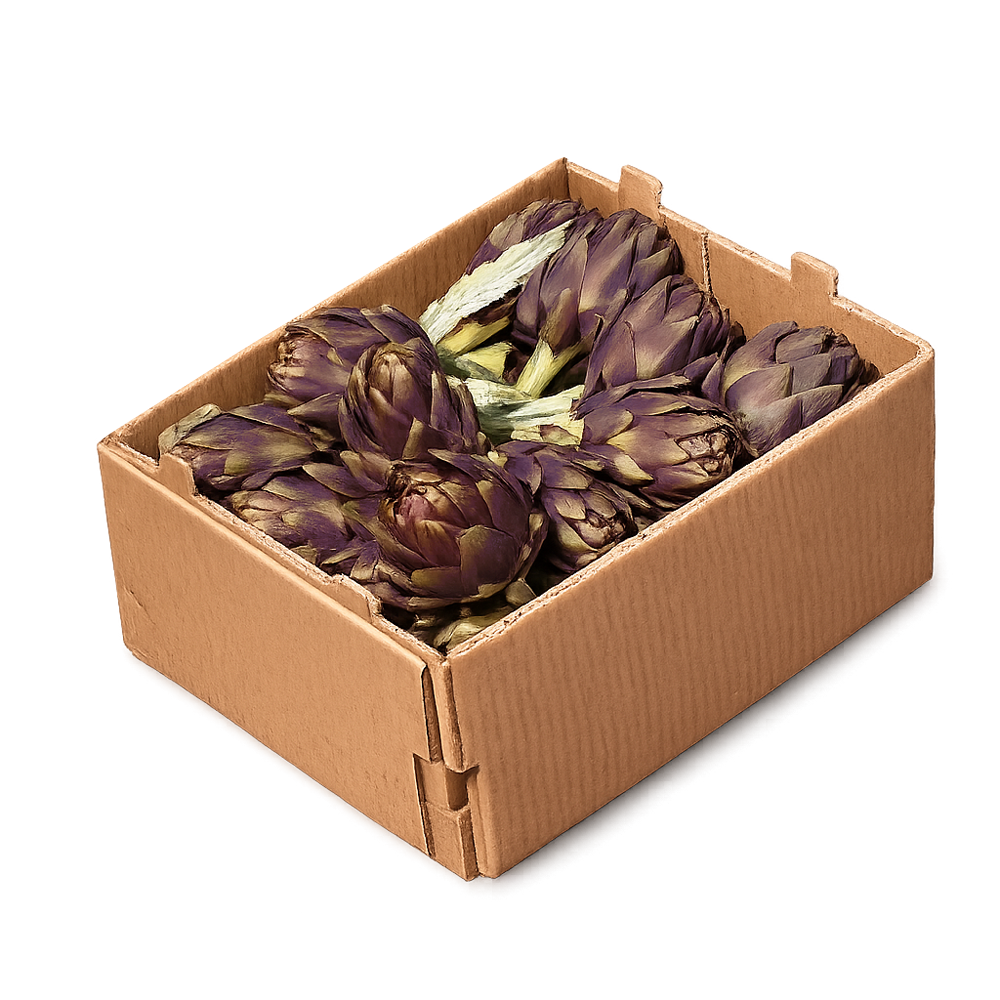 Box Carciofi Toscani