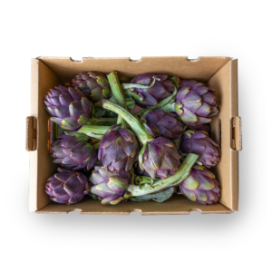 Box Carciofi Toscani top