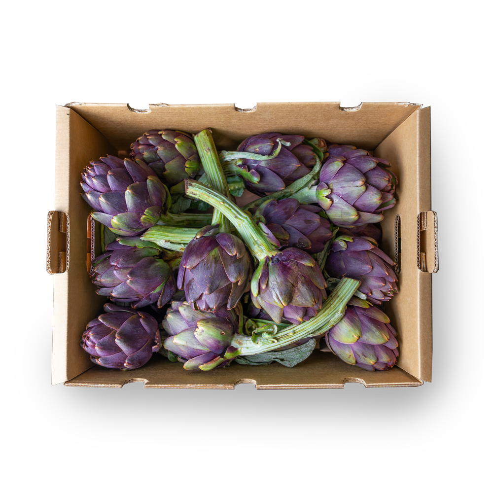 Box Carciofi Toscani top