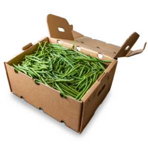 Box Fagiolini Toscani