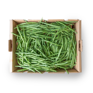 Box Fagiolini Toscani TOP