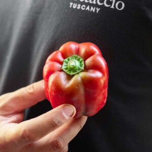 Box Ortaggi misti Toscani Peperoni
