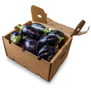 Box Melanzane Toscane