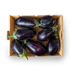 Box Melanzane Toscane TOP