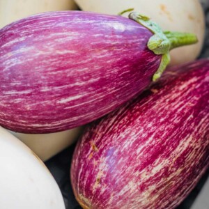 Box melanzane fresche