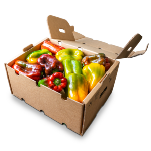 Box Peperoni Toscani
