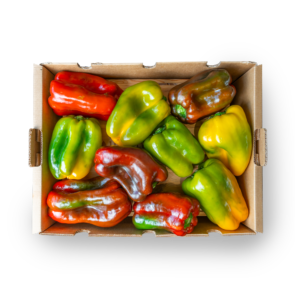 Box Peperoni Toscani TOP