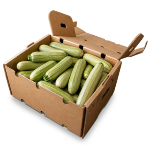 Box Zucchine Toscane