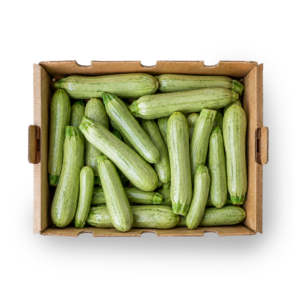 Box Zucchine Toscane TOP