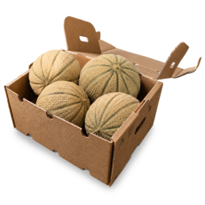 Box Melone Toscano