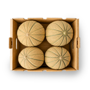 Box Melone Toscano TOP