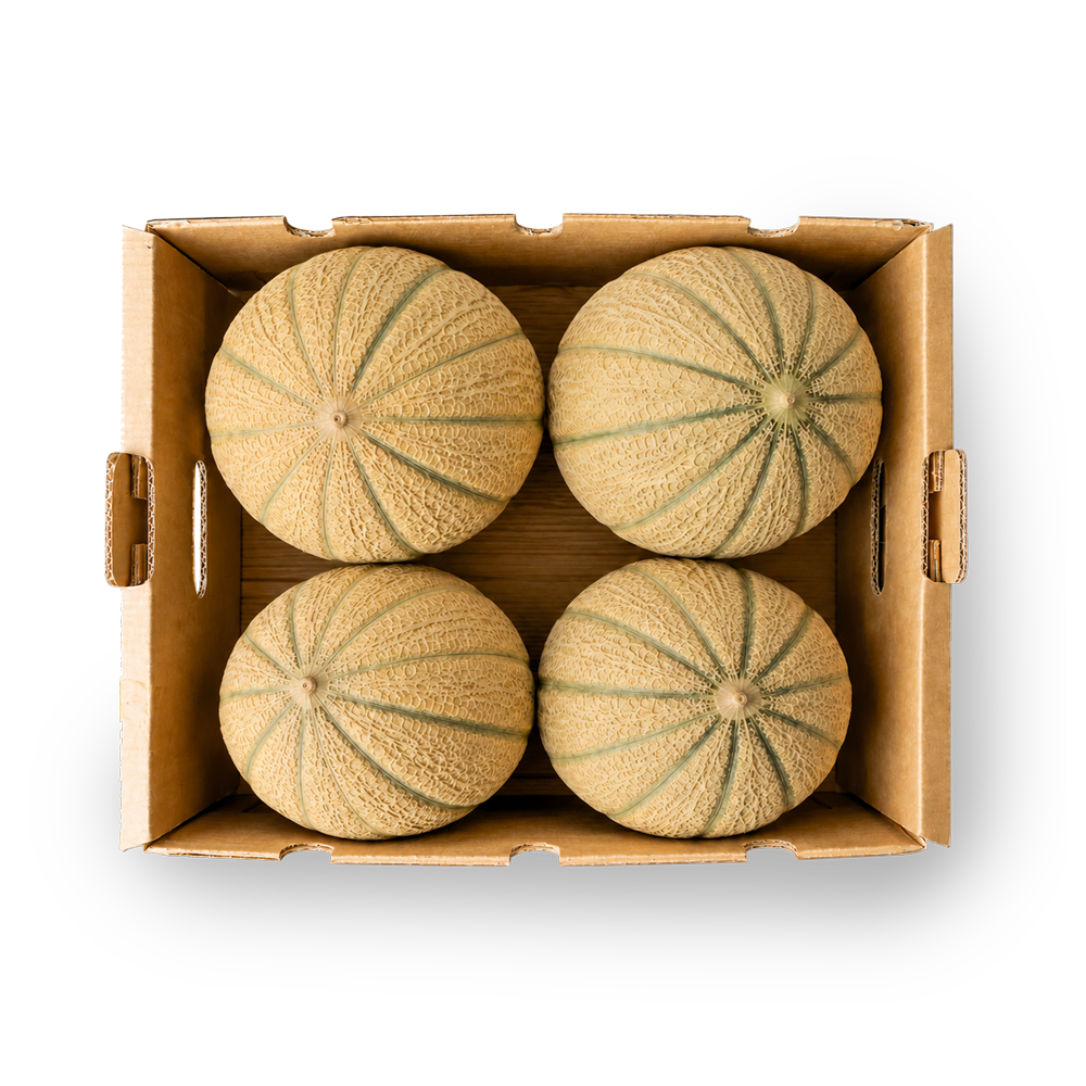 Box Melone Toscano TOP